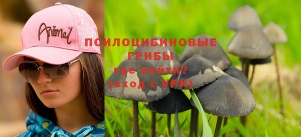 альфа пвп Заводоуковск
