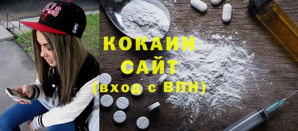 шишки Заволжск