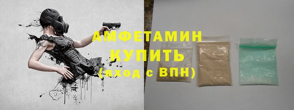 шишки Заволжск