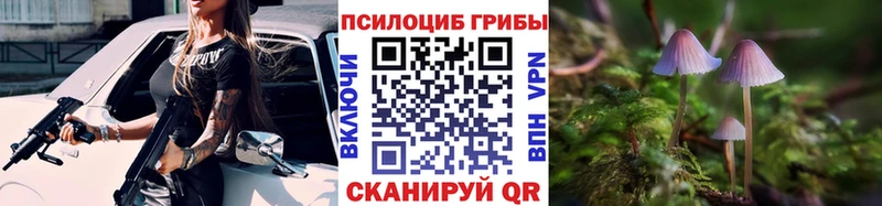 Галлюциногенные грибы прущие грибы  ОМГ ОМГ онион  Шагонар 